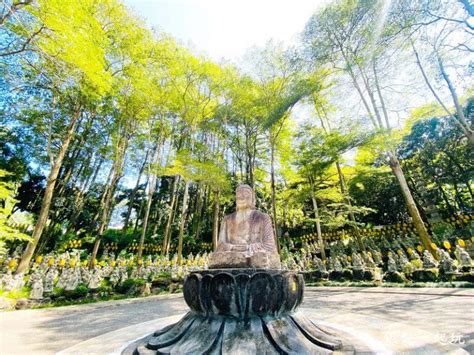 禪機山 仙佛寺|南投國姓｜禪機山仙佛寺：秒飛京都，濃濃日式禪意！五百羅漢超 